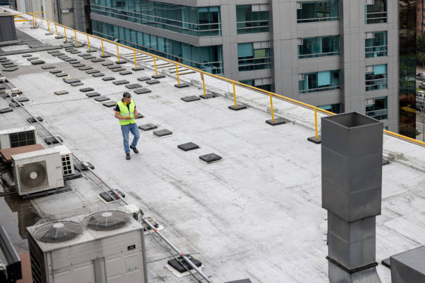 Best Roof Insulation Installation  in Beech Grove, IN